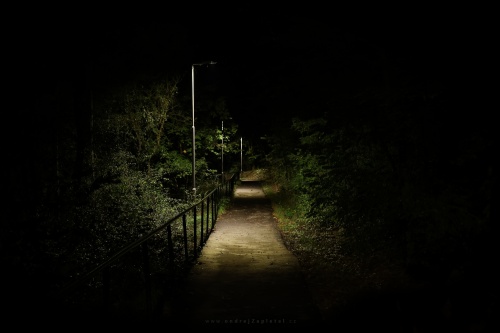 Path through a Night photography