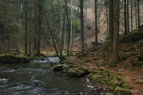 River through the Valley photography