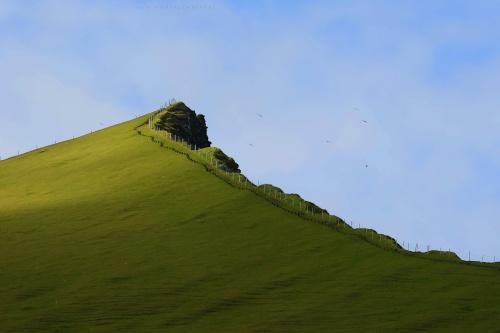 Bitten off photography