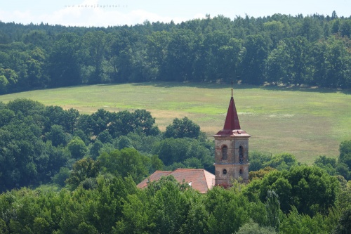 Church among Trees photography