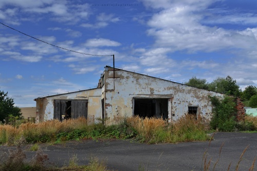 Overgrowing Building under Light Clouds photography