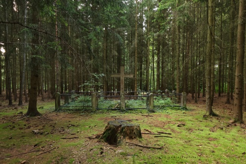 Tomb in Forest photography