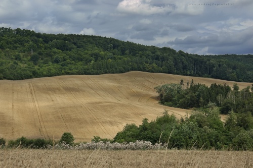 Wavy Field photography