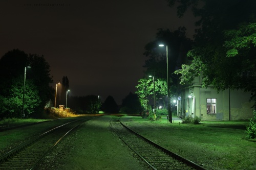 Train Station between Lamps and Trees photography